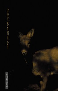 Kjersti Bjørkmo Jeg har prøvd å bli venn med dyrene